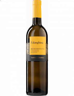 Vino Bianco - Falanghina 