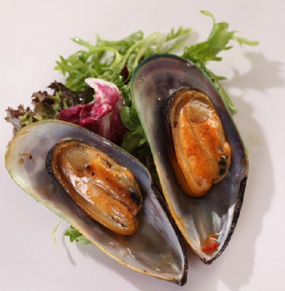 53. MUSSEL
