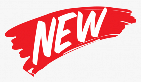 PIZZA BURRATA SAUMON (uniquement en moyenne)