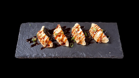 Tori Gyoza