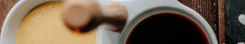 HAUSGEMACHTEN SAUCEN