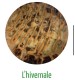L’hivernale 
