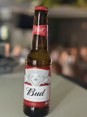 Bière Bud 25cl