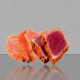 SASHIMI x12