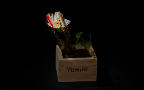 135. Temaki California