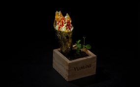 138. Temaki Fiori di Zucca