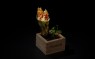 138. Temaki Fiori di Zucca
