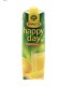 Orangen-Mango Happy Day 1L