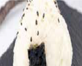 47 ONIGIRI MOUSSE TUNA