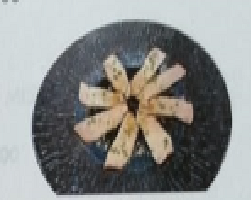 222 SALMONE CON CIPOLLA AL OLIO