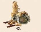 43. Tempura ebi