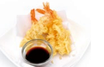 201 EBI TEMPURA