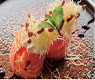 118.Gunkan Speciale Salmone