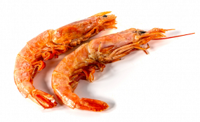 142 Oebi no Shioaki, 2 Piezas