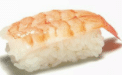 182 Ebi Nigiri
