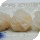 151 Ravioli di pesce