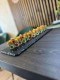 SPICY SAKE ROLL 