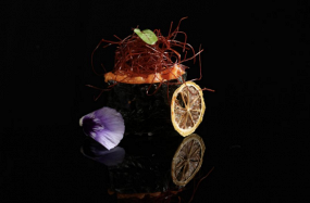 K1 Kunkan Spicy Salmone