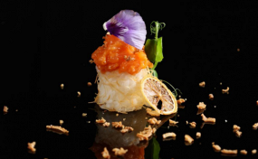 K9 Gio Spicy Kataifi