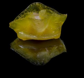 -Gyoza Mix ( 6 Pz. )