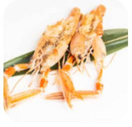 236 Scampi Grigliati