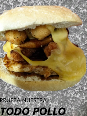 Todo Pollo
