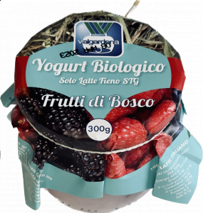 Yogurt Bio Frutti di Bosco 300g