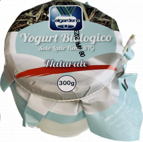 Yogurt Bio Bianco 300g 