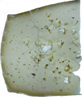 Asiago Fresco