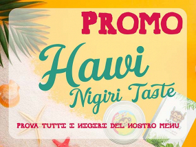 HAWI nigiri salmon lover 