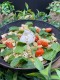 ASSIETTE ITALIENNE