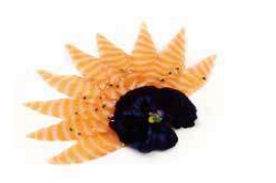 250. CARPACCIO SAKE*