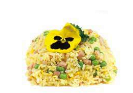 304. RISO CANTONESE*