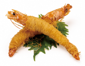 A6 GAMBERONI KATAIFI