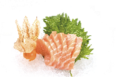 291 SASHIMI SALMONE