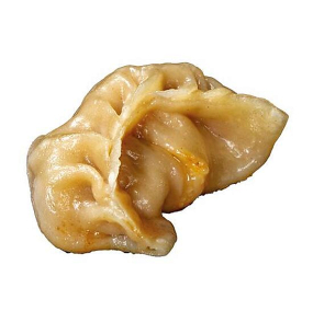 20 GYOZA*