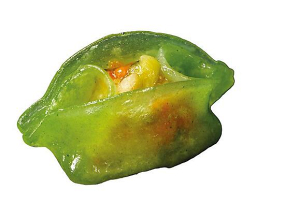25 RAVIOLI VERDURE 🍃
