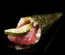 171 MAGURO TEMAKI1