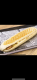 Panini Nutella