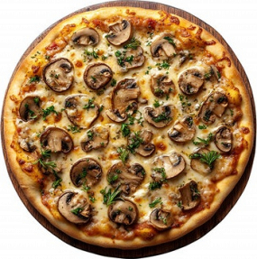 70-32cm lesní houby !!! NOVINKA!!!