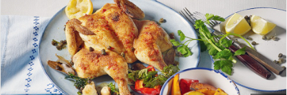 Hühnerfleischgerichte