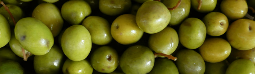 Antipasti - Vorspeisen