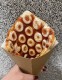 Bubble waffle - základní 