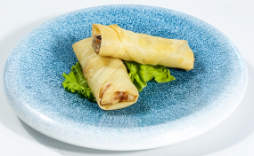 4. INVOLTINI PRIMAVERA