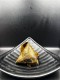 Tamal