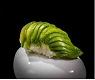 48 NIGIRI AVOCADO 🍃