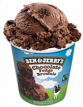 CHOC FUDGE BROWNIE 100ml