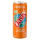 OASIS TROPICALE