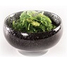 1021 Goma wakame