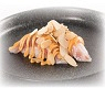 1079 Nigiri Suzuki Scottato